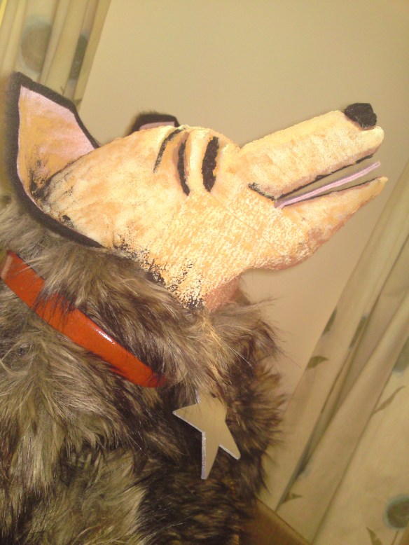 A Star is Born....!!!